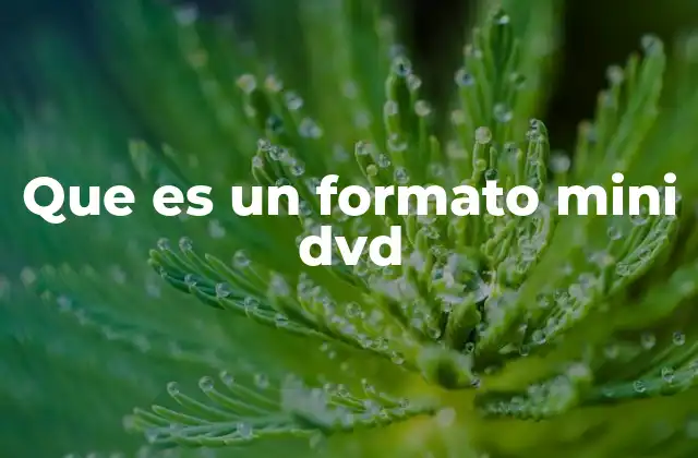 Que es un Formato Mini Dvd