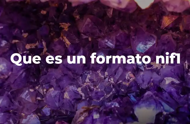 Que es un Formato Nif1