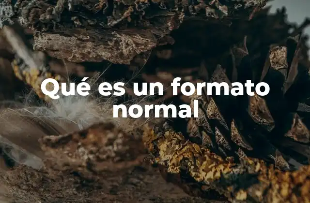 Qué es un Formato Normal
