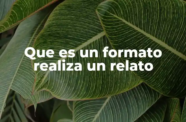 Que es un Formato Realiza un Relato