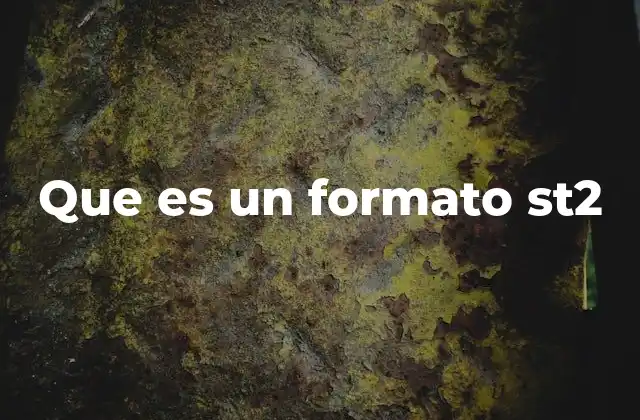Que es un Formato St2
