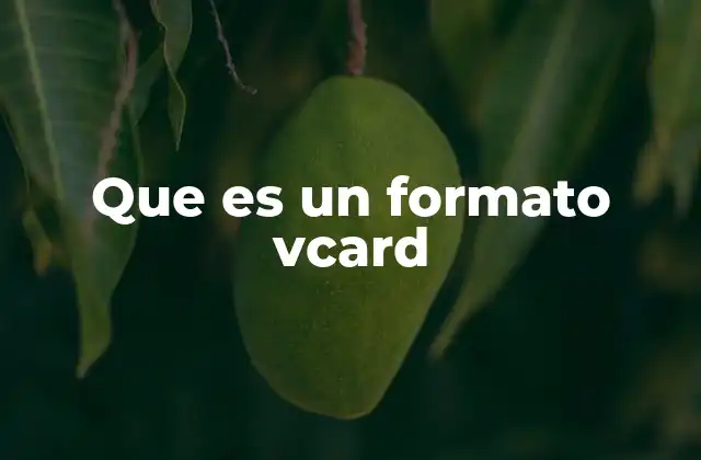 Que es un Formato Vcard