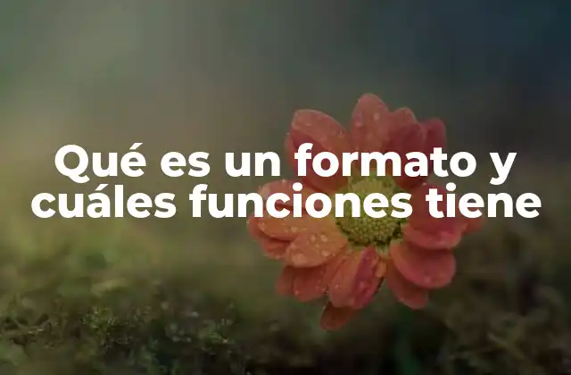 Qué es un Formato y Cuáles Funciones Tiene