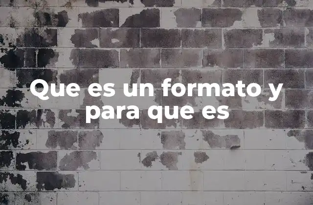 Que es un Formato y para que es
