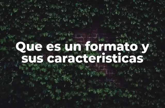 Que es un Formato y Sus Caracteristicas