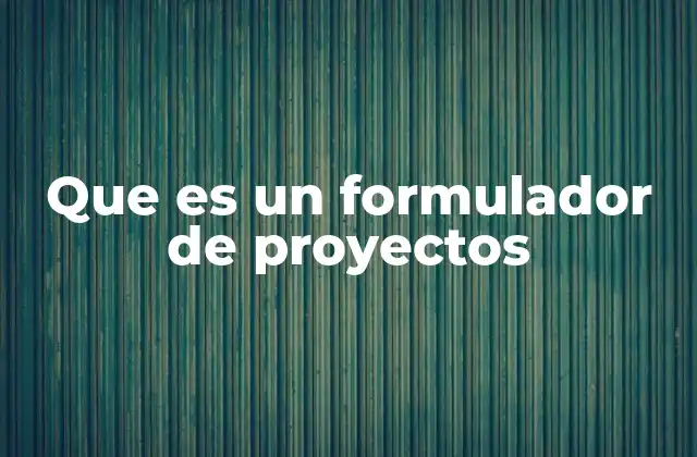 Que es un Formulador de Proyectos