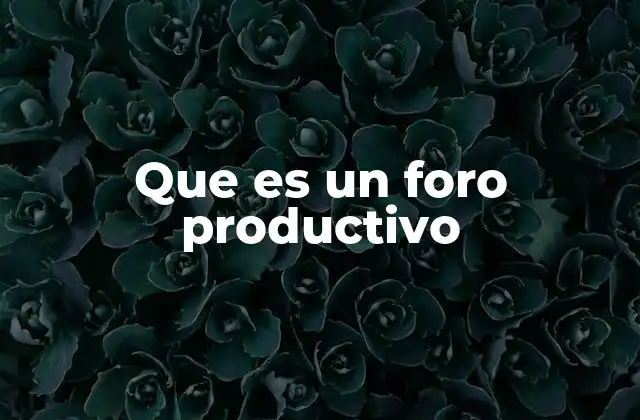 Que es un Foro Productivo