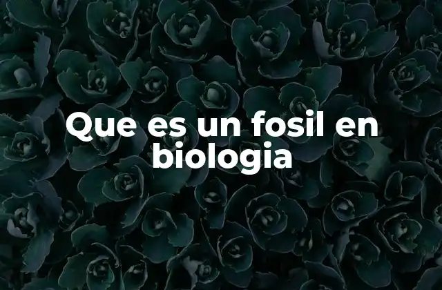 Que es un Fosil en Biologia
