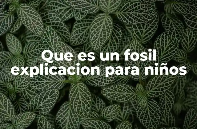 Cómo se forman los fósiles