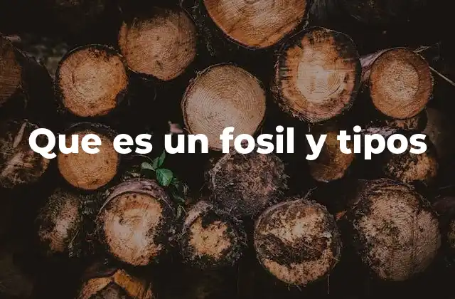 Que es un Fosil y Tipos