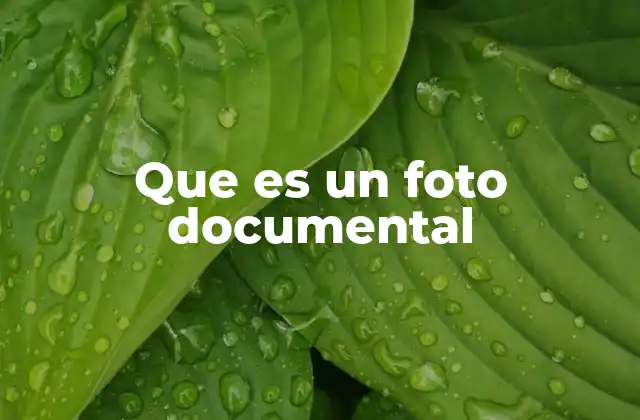 Que es un Foto Documental