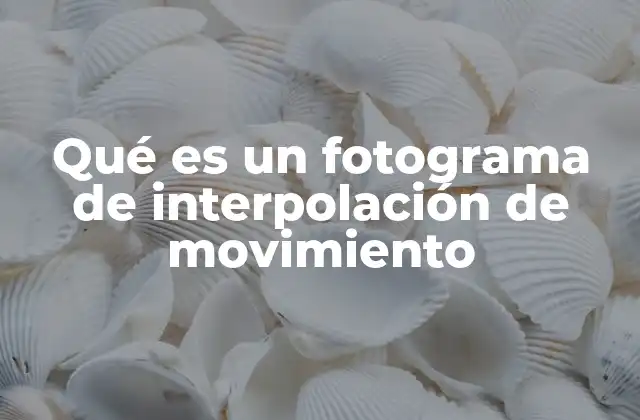 Qué es un Fotograma de Interpolación de Movimiento