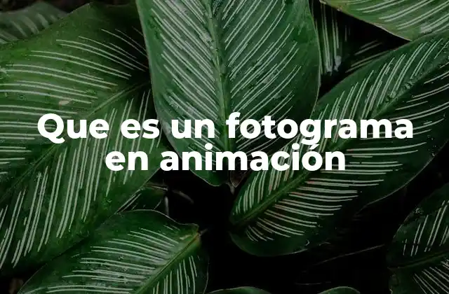 Que es un Fotograma en Animación