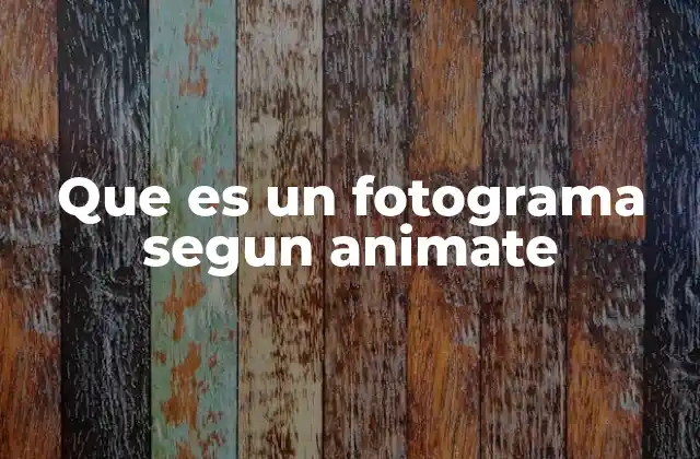 Que es un Fotograma Segun Animate