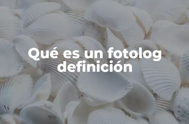 Qué es un Fotolog Definición