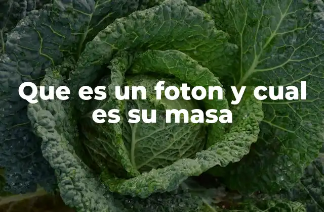 Que es un Foton y Cual es Su Masa
