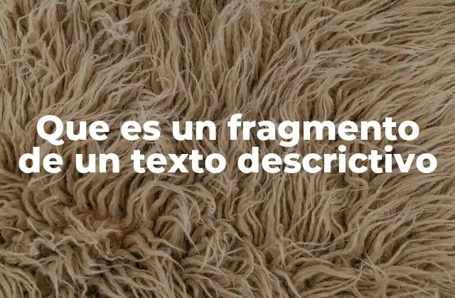 Que es un Fragmento de un Texto Descrictivo