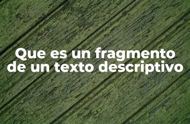 Que es un Fragmento de un Texto Descriptivo