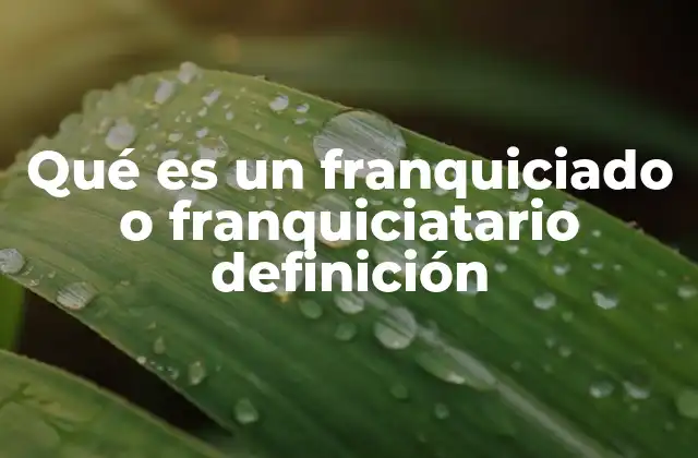 Qué es un Franquiciado o Franquiciatario Definición