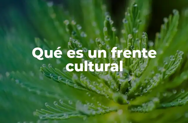 Qué es un Frente Cultural 2 La cultura como herramienta de resistencia y transformación social