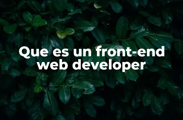 Que es un Front-end Web Developer