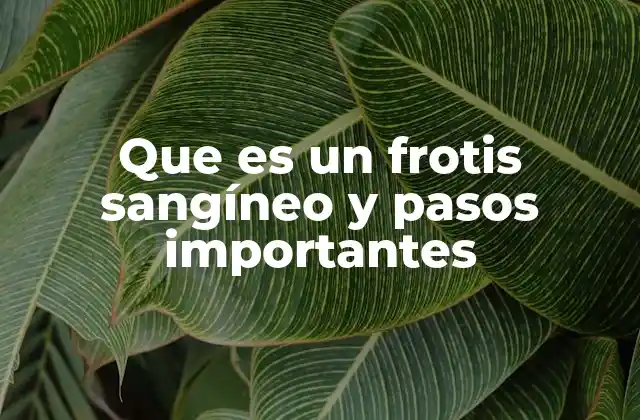 Que es un Frotis Sangíneo y Pasos Importantes