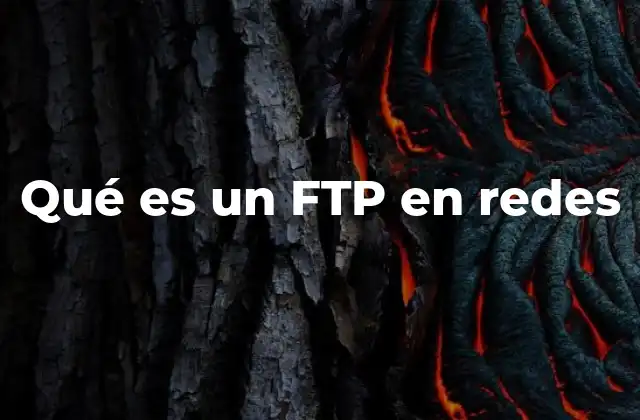Qué es un Ftp en Redes