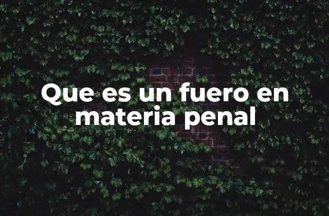 Que es un Fuero en Materia Penal