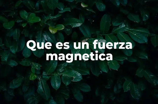 Que es un Fuerza Magnetica 2 El comportamiento de los campos magnéticos