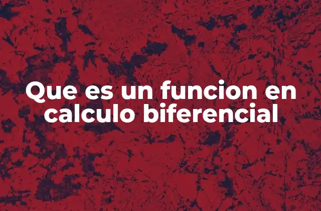Que es un Funcion en Calculo Biferencial