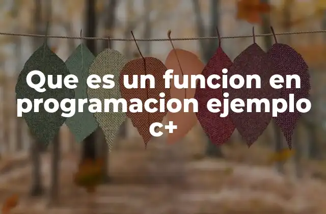 Que es un Funcion en Programacion Ejemplo C+