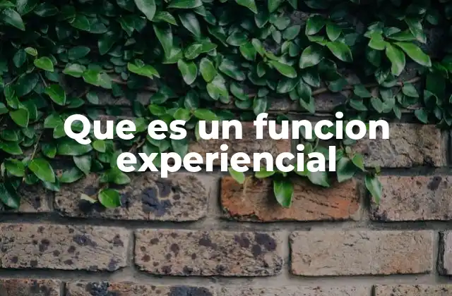 Que es un Funcion Experiencial