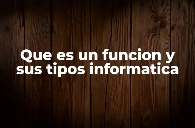 Que es un Funcion y Sus Tipos Informatica