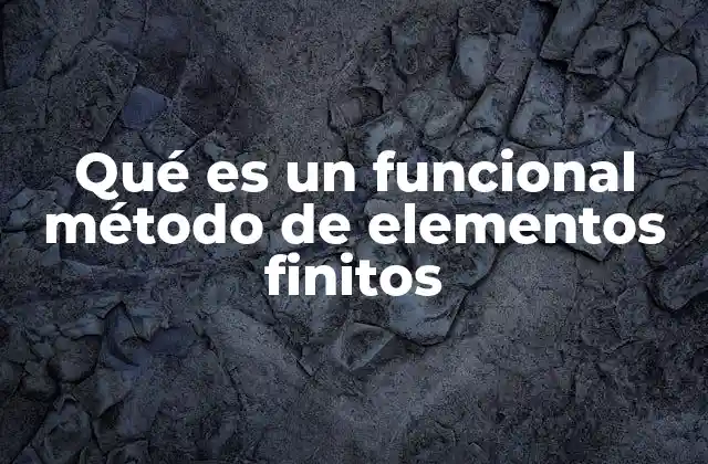 Aplicaciones del funcional método en ingeniería y ciencias