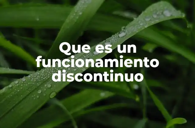 Que es un Funcionamiento Discontinuo