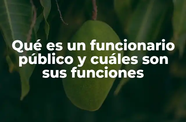 Qué es un Funcionario Público y Cuáles Son Sus Funciones