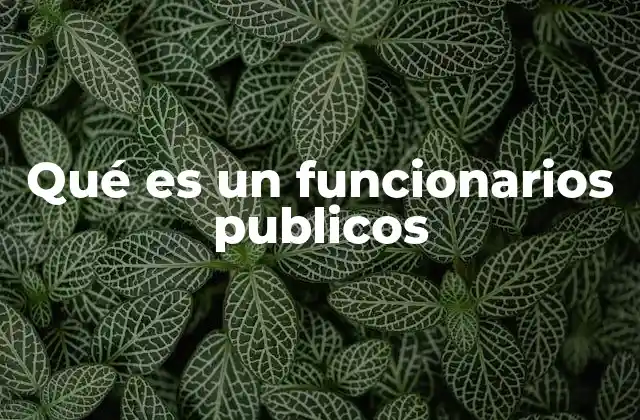 Qué es un Funcionarios Publicos