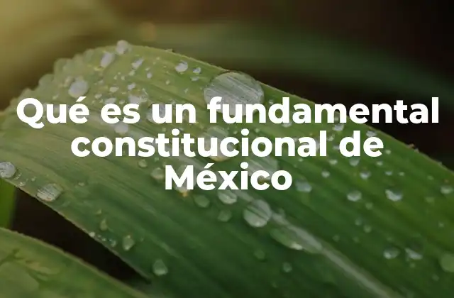 Qué es un Fundamental Constitucional de México