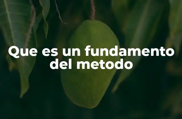 Que es un Fundamento Del Metodo