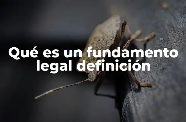 Qué es un Fundamento Legal Definición