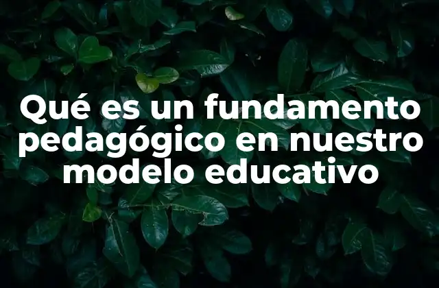 Qué es un Fundamento Pedagógico en Nuestro Modelo Educativo