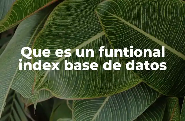 Que es un Funtional Index Base de Datos