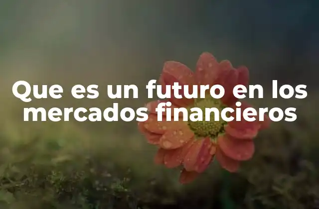 Que es un Futuro en los Mercados Financieros