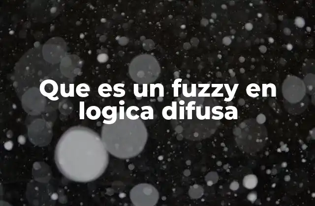 Que es un Fuzzy en Logica Difusa