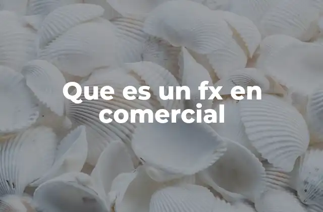 Que es un Fx en Comercial