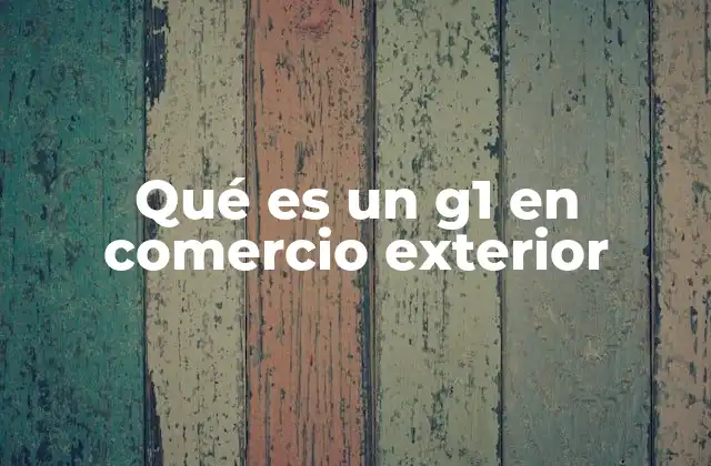 Qué es un G1 en Comercio Exterior