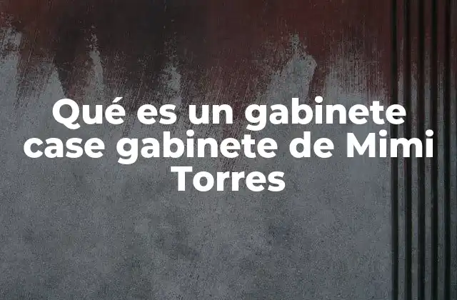 Qué es un Gabinete Case Gabinete de Mimi Torres