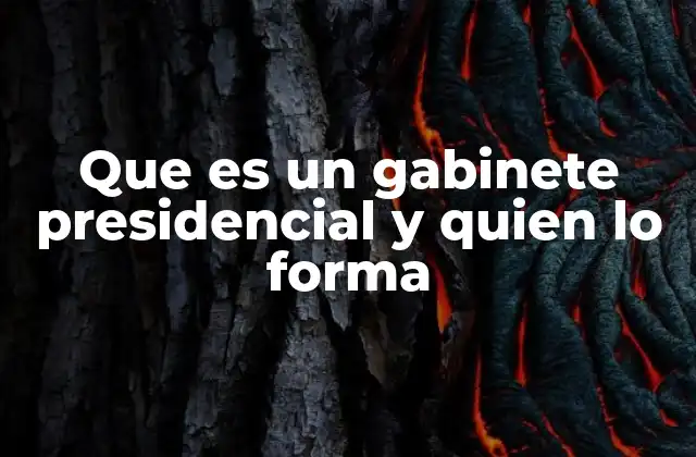 Que es un Gabinete Presidencial y Quien Lo Forma
