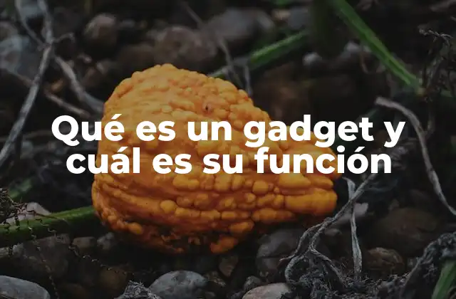 Qué es un Gadget y Cuál es Su Función