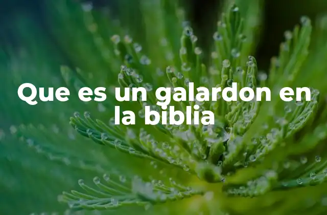 Que es un Galardon en la Biblia